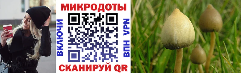 Галлюциногенные грибы GOLDEN TEACHER  закладка  Воркута 
